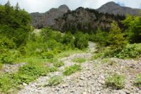 2015-06-24_01Eng-Steig (182).JPG
